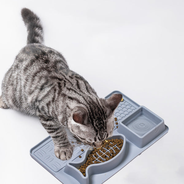 Multifunction Pet Slow Feeder Bowls Dog Licking Mat